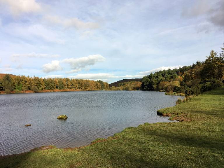 foto16