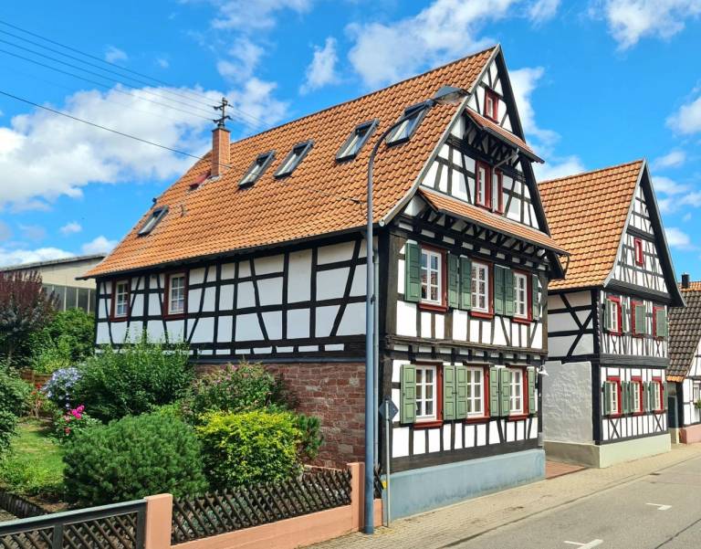 foto2
