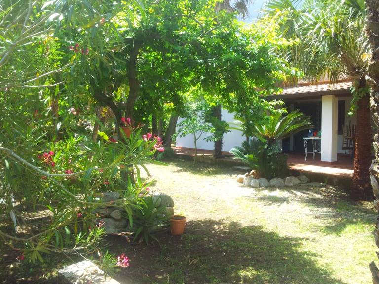 House with barbeque — photo 4