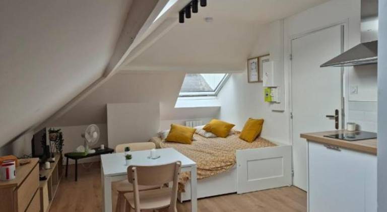 Apartment with 1 room for 2 persons in Lille