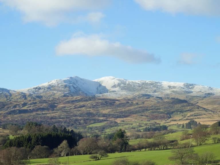Cottage  Bala