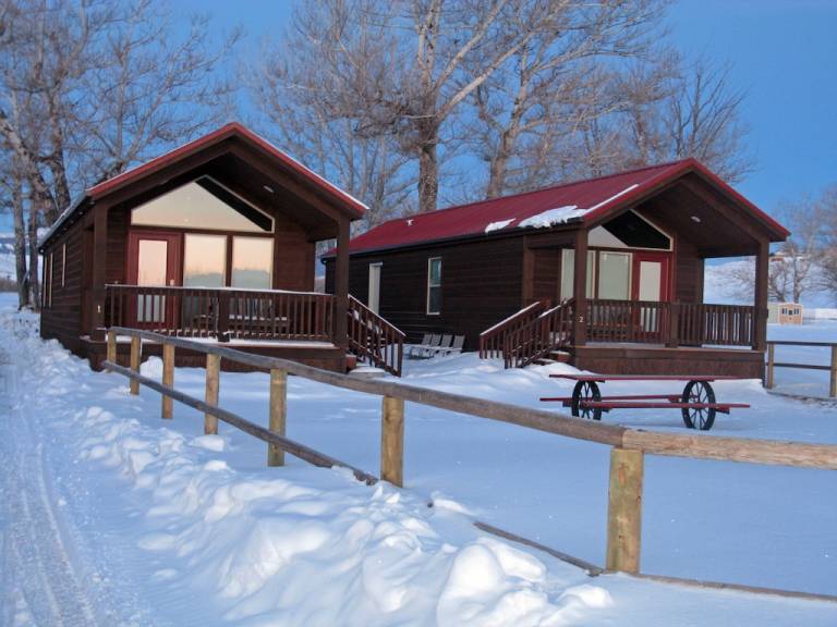 Cabin Buffalo