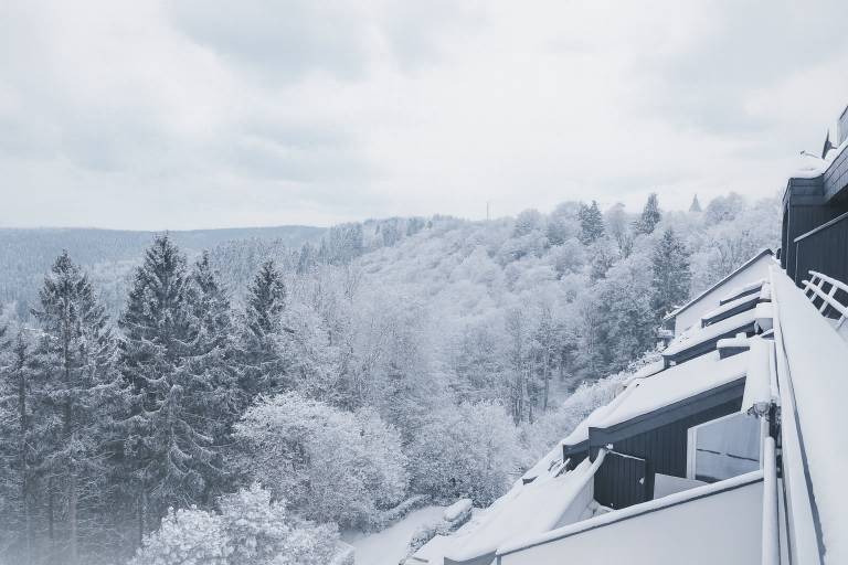 Ferienwohnung Winterberg