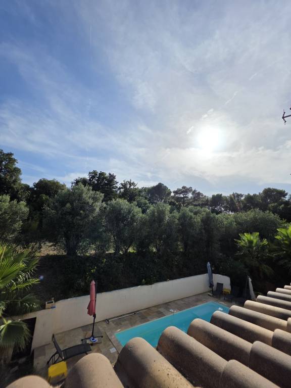 Fully equipped villa with barbeque, private pool & garden | Pool view | Pet-friendly — photo 4