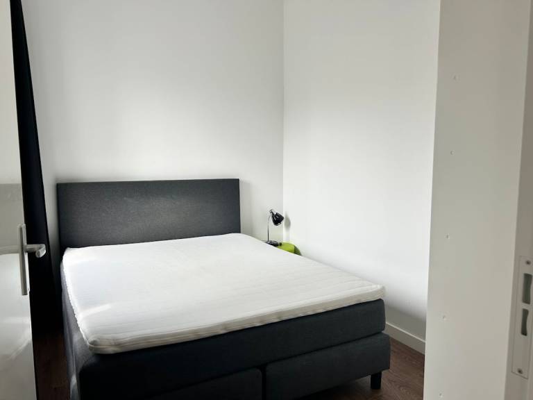 foto5