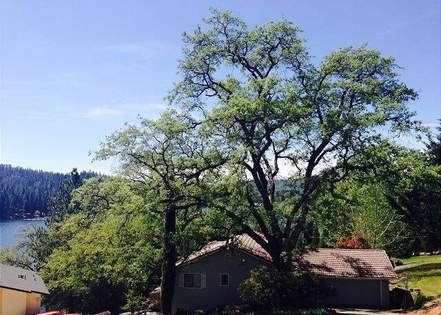 House Groveland