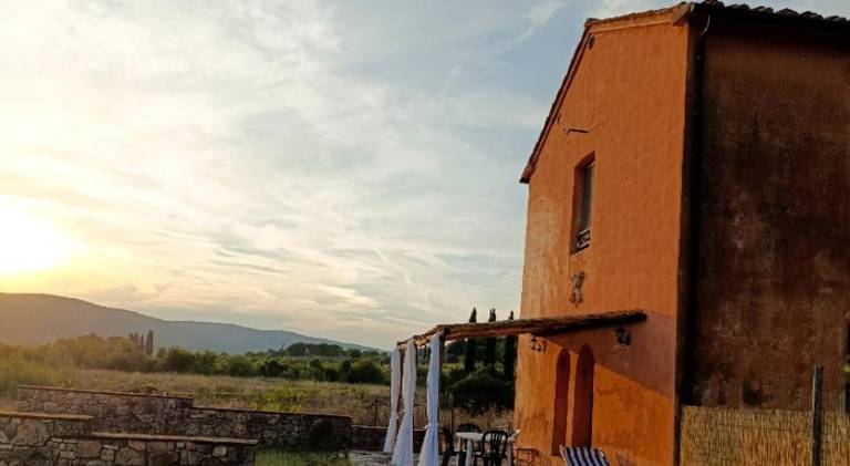 Farm with BBQ, yard & patio in Massa Marittima