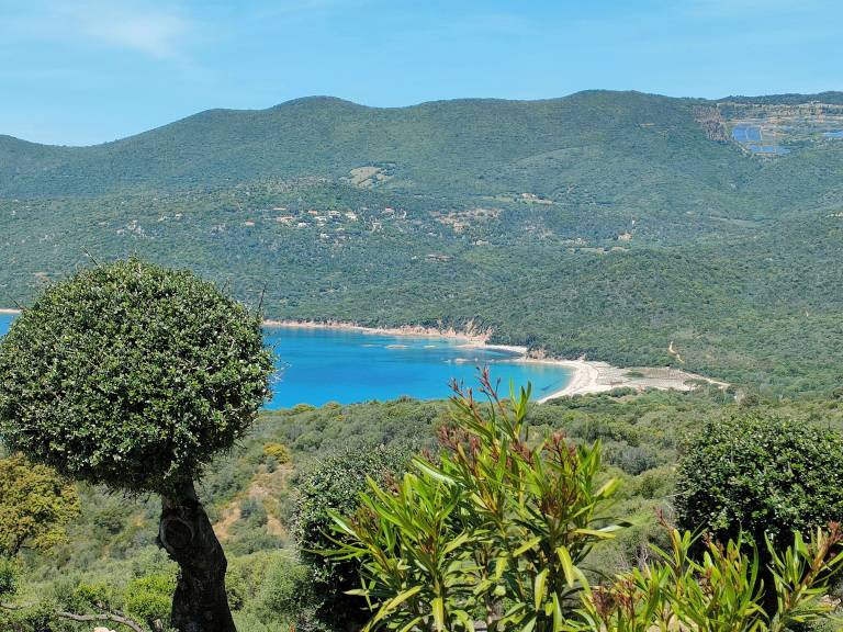 Villa Porto Pollo