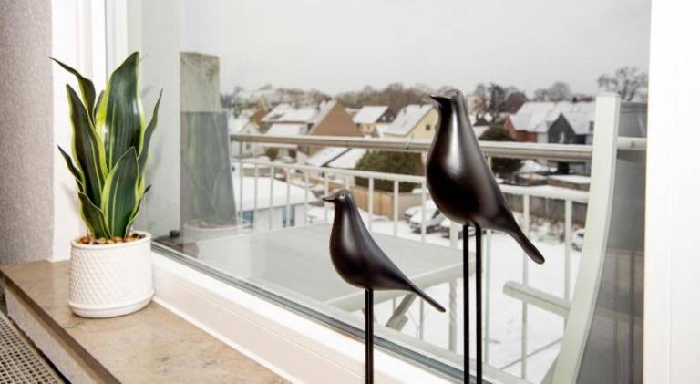 Pleasant rental apartment | Pets are welcome — photo 3