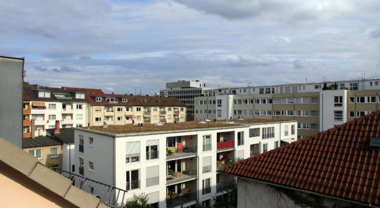 foto8