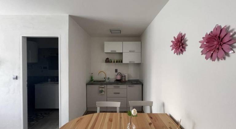 Serviced apartment with sauna, garden & terrace — photo 3