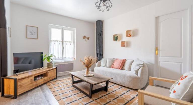 Pleasant rental apartment | Pet-friendly in Chinon