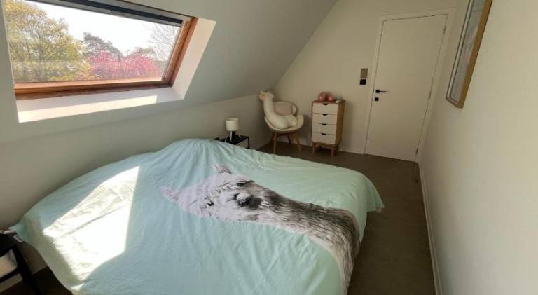 foto36