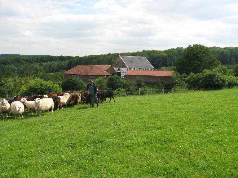 Ferienhaus Wetter (Ruhr)