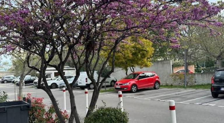 foto9