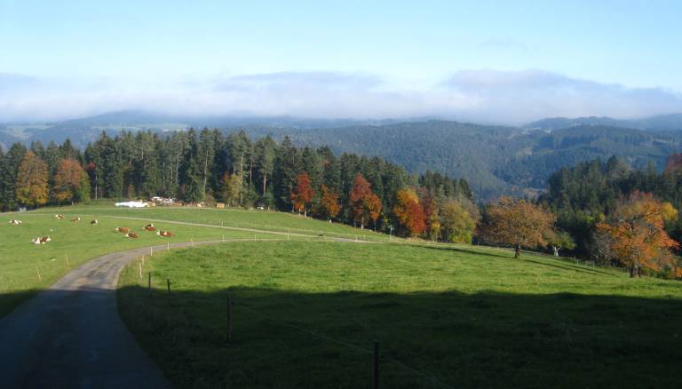 foto9