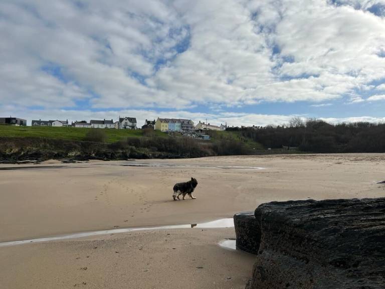 Apartment Aberporth