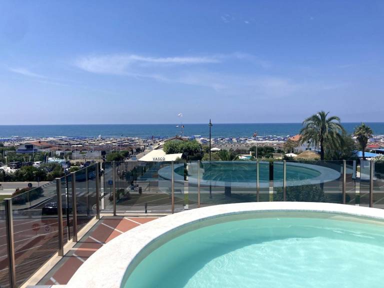 Family-oriented rental apartment with barbeque, private pool & terrace | Beach nearby | Perfect for remote work | Dogs allowed in Forte dei Marmi