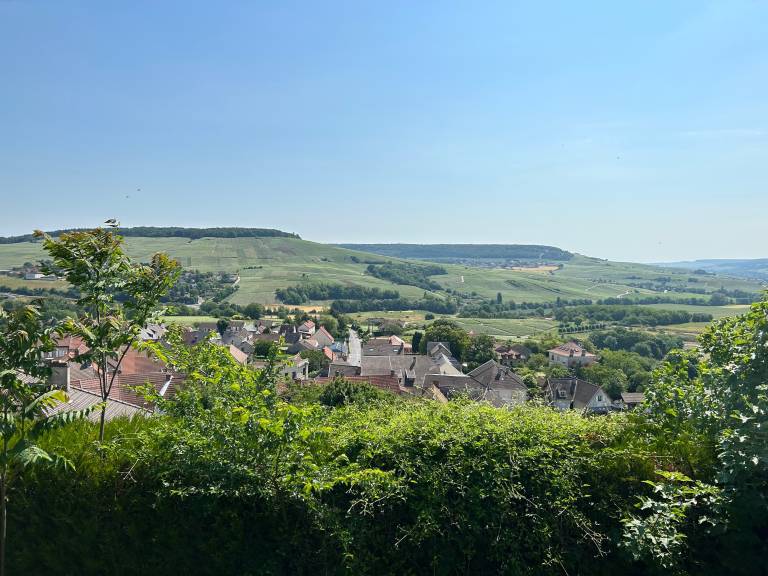 House with barbecue, terrace & garden | Garden view — photo 4