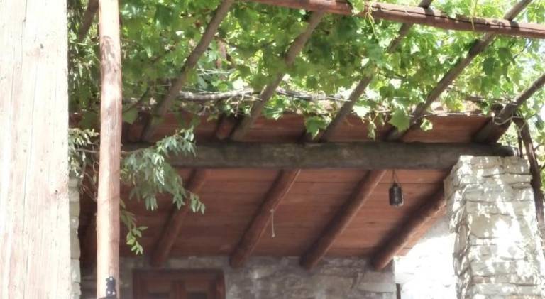 House | Pets are welcome — photo 3