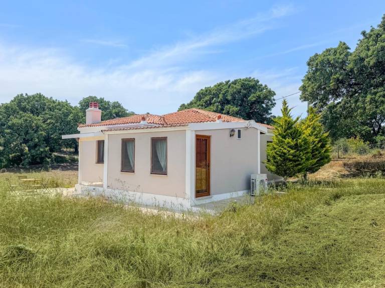 House Alaybey Mahallesi