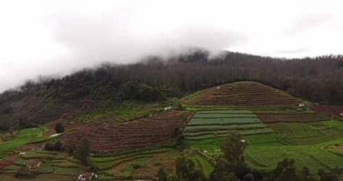 Bed and breakfast Kotagiri