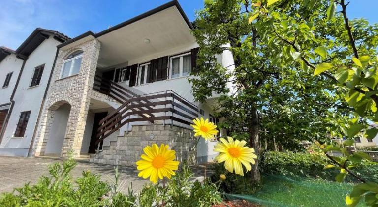 Iva Apartments in Novigrad