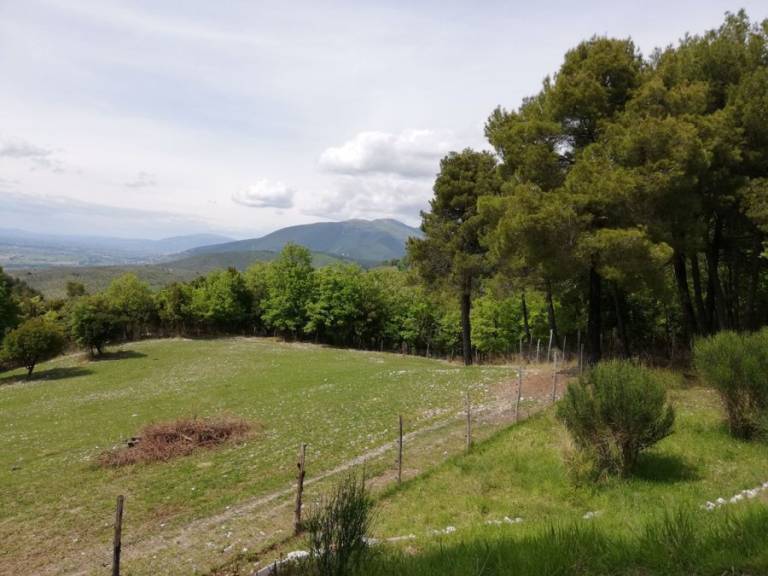 Agriturismo Posto del Sole: Appartamento confort (4) — photo 5
