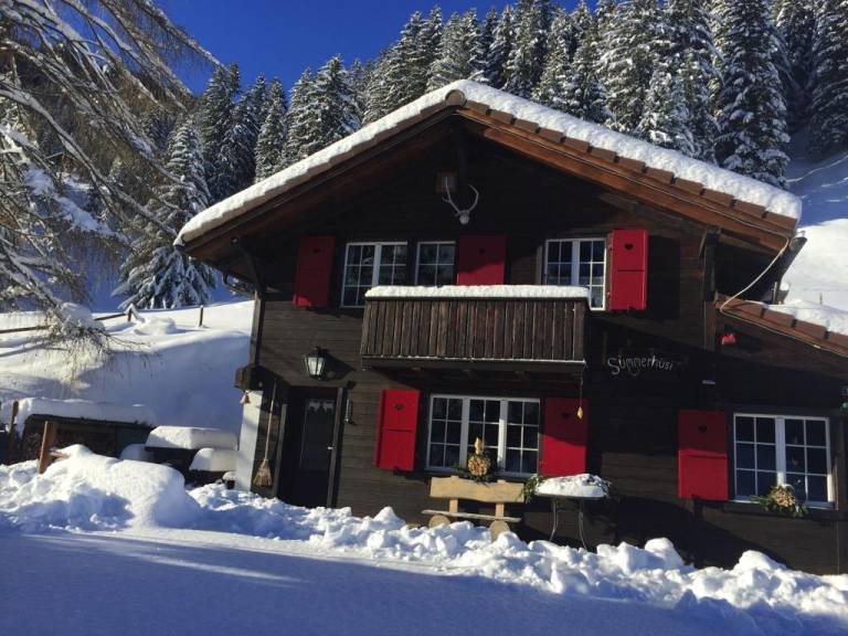 Ferienwohnung Adelboden