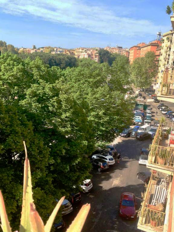 foto13