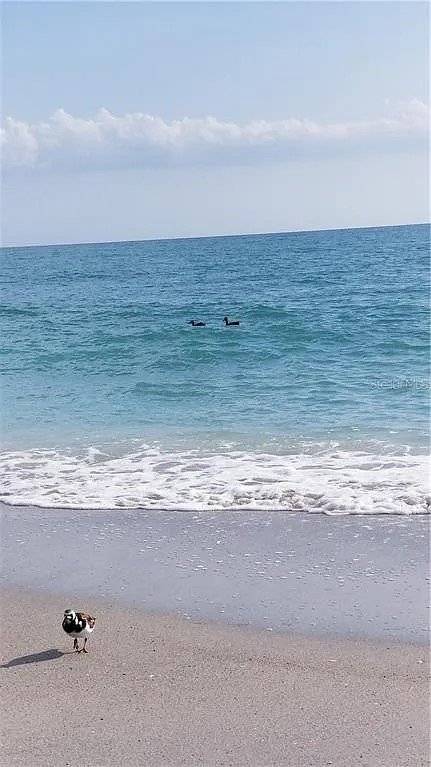 House ∙ 3 Bedrooms ∙ 8 Guests - Manasota Key, FL
