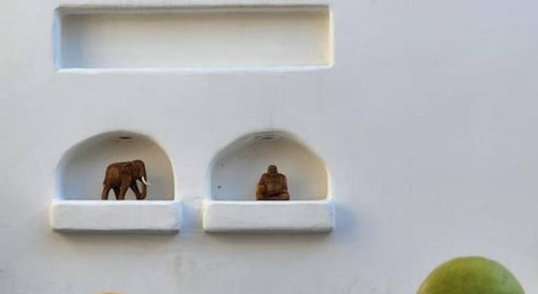 Charming house | Pets allowed in Ayvalik