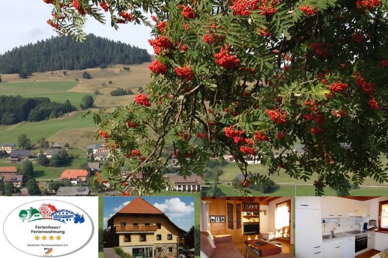 Ferienhaus  Bernau im Schwarzwald