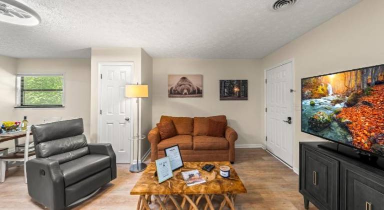 Pleasant apartment | Pets allowed in Pigeon Forge, TN
