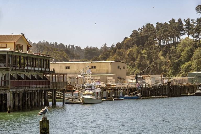 House Fort Bragg