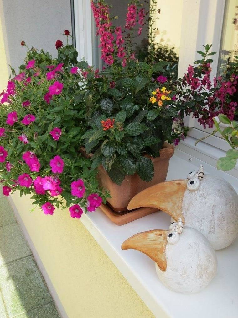 foto13