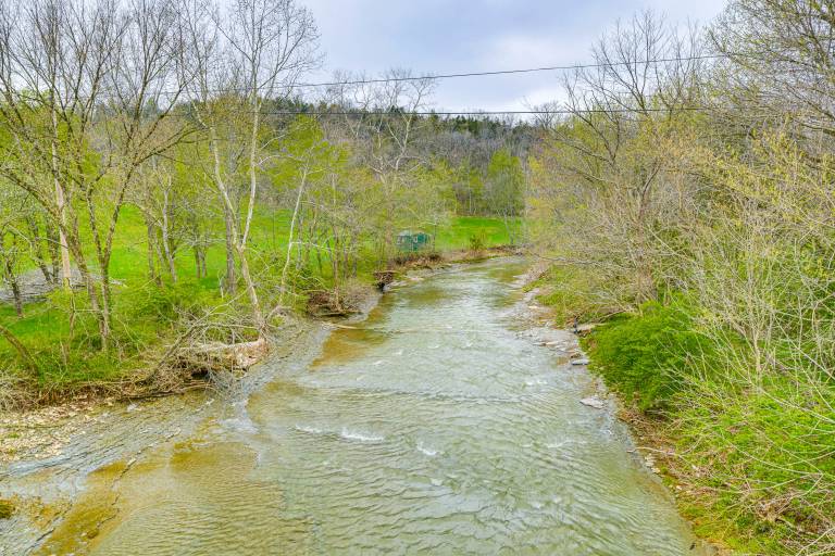 Peaceful Home w/ Patio on 30 Acres in Coxs Creek! — photo 3