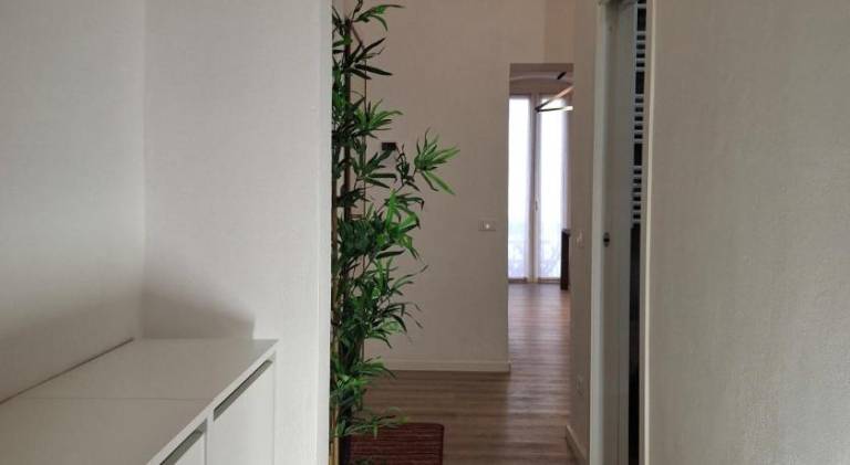 Apartment | Next to Fontana del Delfino | Pets allowed — photo 5