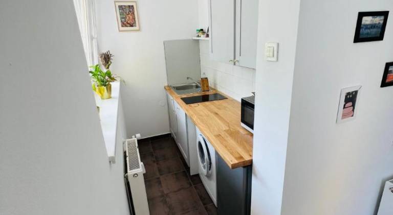 Paula’s cosy place in the center of Ljubljana — photo 4