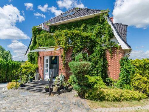 Bed & Breakfast  Wierzba