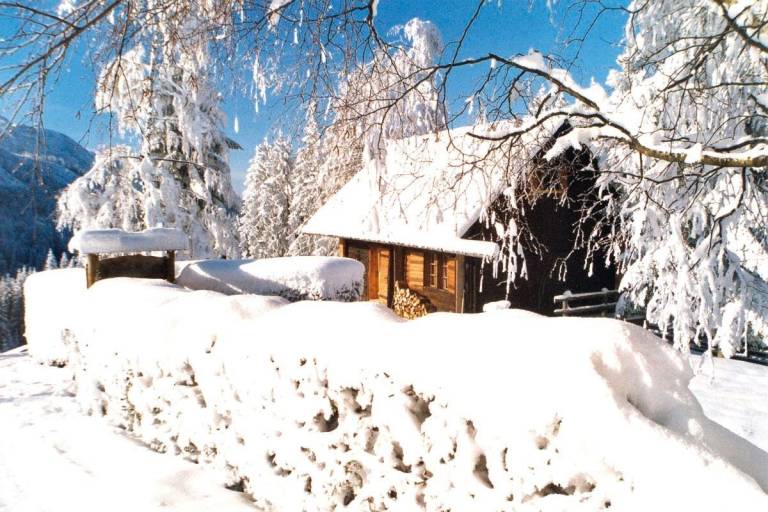 Ferienhaus Altmünster am Traunsee