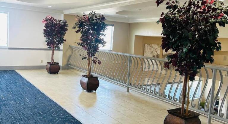 Comfort Inn & Suites Wylie — photo 4