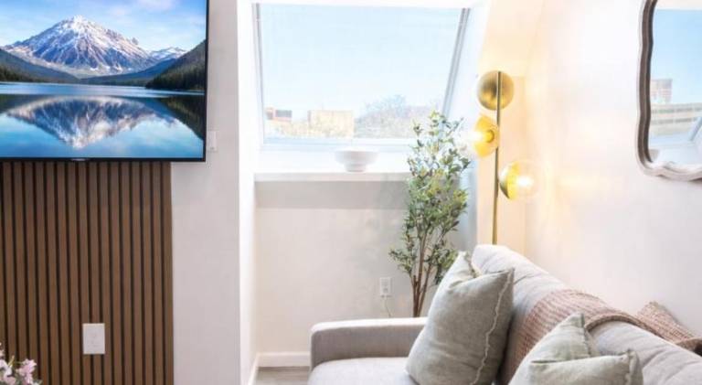 Beautiful rental apartment | Pet-friendly in New Haven, CT