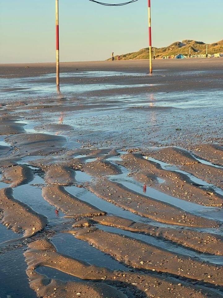 foto41