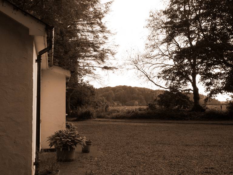 foto6