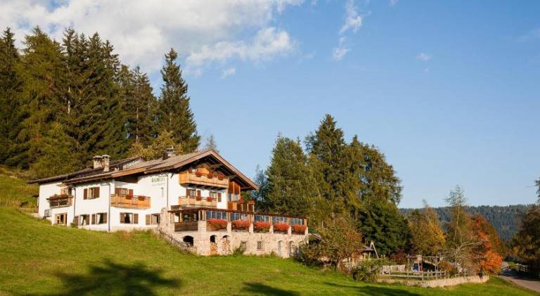 Hotel Restaurant Waldbichl — photo 3