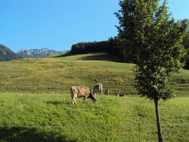 foto6