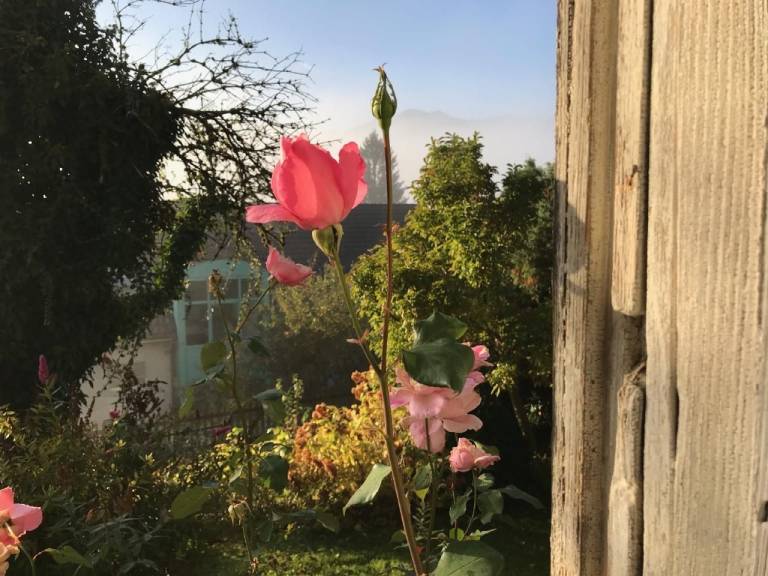 foto34