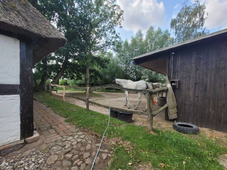 foto21