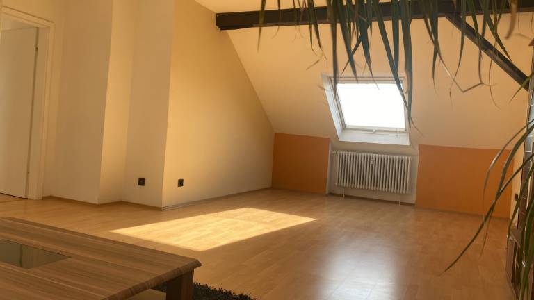 Lovely rental apartment | Dogs allowed — photo 3